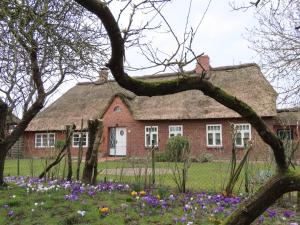 a red brick house with a thatched roof and flowers at Ferienhaus Zur Alten Post 1 in Ockholm