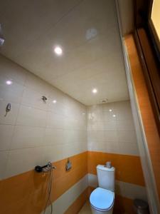 a bathroom with a toilet and a shower at RP HOTEL- hostel in Yerevan