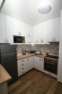 Kuchyň nebo kuchyňský kout v ubytování Milan apartment