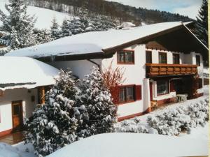 Apartment INT2 - 2 Zimmer für max- 4 Personen A2 by Interhome im Winter