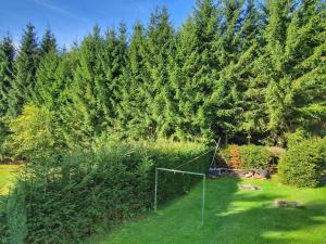 a goal in a yard with trees in the background at Holiday Home Hůrka by Interhome in Horní Planá
