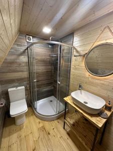 a bathroom with a shower and a toilet and a sink at Borjomi Story in Borjomi