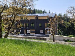 a black building with trees in the background at Apartment Černý Důl-3 by Interhome in Černý Dŭl