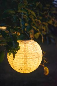 une lanterne éclairée suspendue à une plante dans l'établissement Dordogne Glamping, à Bouzic