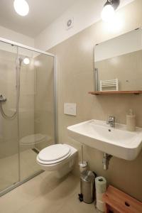 y baño con aseo, lavabo y ducha. en Apartment Arnoltice 1 by Interhome, en Arnoltice u Decina