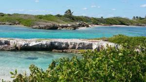 una isla en el océano con agua azul y árboles en OceanSide Hotel & Pool en Bayahibe