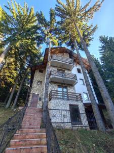 un edificio con escaleras que conducen a él con dos palmeras en Apartments Planinski raj, en Travnik