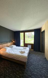 a bedroom with a large bed and a large window at Le Motel du Gaschney in Muhlbach-sur-Munster
