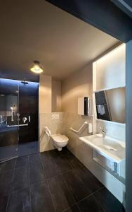 a bathroom with a toilet and a sink and a shower at Le Motel du Gaschney in Muhlbach-sur-Munster