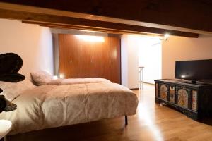 a bedroom with a bed and a flat screen tv at Dimore Al Borgo 4 in Montagnana