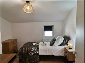 ein Schlafzimmer mit einem Bett mit Kissen und einem Fenster in der Unterkunft L'Alcôve des Falaises in Rochefort-sur-Nenon