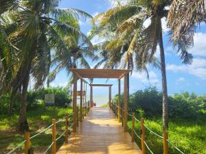 a wooden pathway with palm trees on a beach at Casa Patacho in Pôrto de Pedras