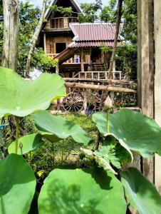 einem großen grünen Seerosenblatt vor einem Haus in der Unterkunft Banteay Srey Women's Only Traditional Spa and Homestay in Kampot