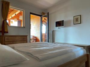 a bedroom with a bed with a window and a television at Residence La Terrazza in Caldaro