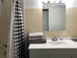 a bathroom with a sink and a shower at Star Apartments in Fort Myers