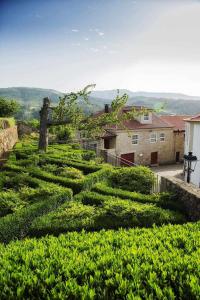 ein großes Labyrinth von Hecken vor einem Gebäude in der Unterkunft Casa da Cerca in Mondim da Beira