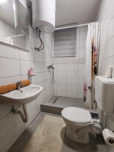 a bathroom with a toilet and a sink and a shower at Apartments Planinski raj in Travnik