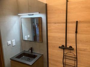 a bathroom with a sink and a mirror at Le Jardin des Copains in Canet