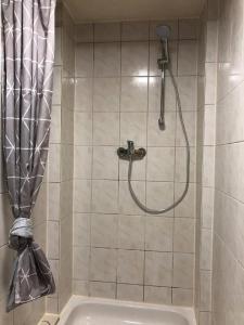 eine Dusche mit Duschkopf im Bad in der Unterkunft Gästezimmer zur Brücke in Zwiesel