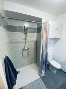 a bathroom with a shower and a toilet at Résidence Etoile in Asnières-sur-Seine