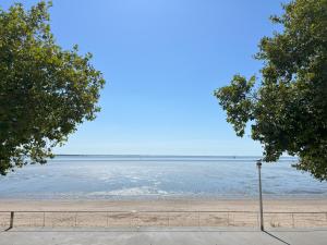 a view of the beach from between two trees at Villa Aziliz - Face Mer in Saint-Nazaire