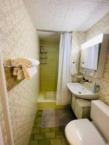 Koupelna v ubytování Zürich Cozy Apartment