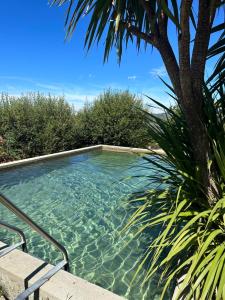 a swimming pool with a palm tree and clear water at The Loft With a View in Cabeceiras de Basto