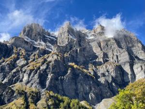 a large mountain with trees in front of it at Holland 7 im Torrentblick brandnew family appartment in Leukerbad