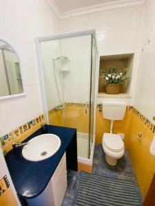 uma casa de banho com um WC, um lavatório e um chuveiro em Casa De Campo Natureza em Porto de Mós