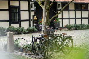 zwei Fahrräder, die neben einem Baum vor einem Gebäude geparkt sind in der Unterkunft SCHLOSSRESIDENZ - Boutique Apartments & Hotel Suiten in Schloß Ricklingen