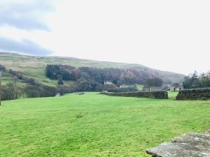 a green field with a hill in the distance at 4 Swallowholm Cottage in Langthwaite
