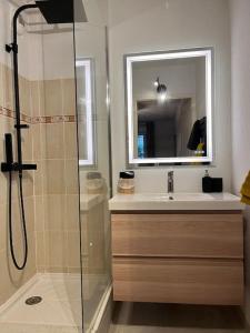 ein Bad mit einer Dusche, einem Waschbecken und einem Spiegel in der Unterkunft Joli Appart / Parking / CLIM / WIFI in Montpellier