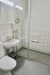 a bathroom with a toilet and a sink at Havi Apartment in Riihimäki