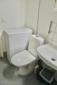 ein Badezimmer mit einem weißen WC und einem Waschbecken in der Unterkunft Havi Apartment in Riihimäki