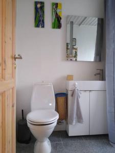 een badkamer met een toilet, een wastafel en een spiegel bij Flat in the heart of Billund, 600m to Lego House, close to Legoland, Lalandia, Airport, in Billund