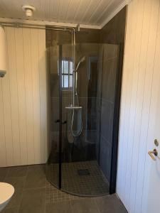 TivedにあるÖsjönäsのバスルーム(ガラスドア付きのシャワー付)