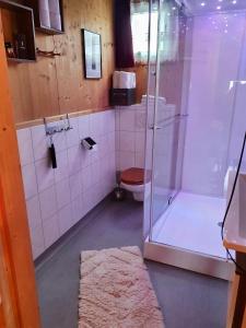 霍亨陶恩的住宿－Ferienhaus Messner，带淋浴和卫生间的浴室