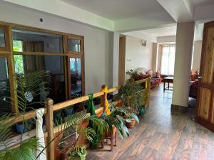a living room filled with lots of potted plants at Hello Home in Pelling