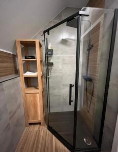 eine Dusche mit Glastür im Bad in der Unterkunft Karkonoskie Zacisze pod Śnieżką in Miłków