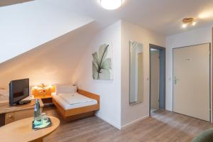 Cette petite chambre comprend un lit et une télévision. dans l'établissement Alleehaus, à Fribourg-en-Brisgau