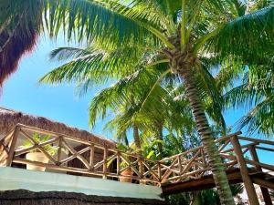 Foto Isla Holboxis asuva majutusasutuse Casa Tom Tom - Adults Only galeriist
