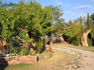 Vonkajšia záhrada v ubytovaní Cortona Gabolina e Turata Holiday Home