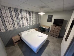 Cette chambre comprend un lit, un bureau et une télévision. dans l'établissement Hôtel Broisin, à Aix-les-Bains