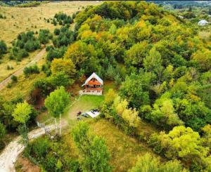an overhead view of a house on a hill with trees at Cottage Racha Rhymes in Ambrolauri