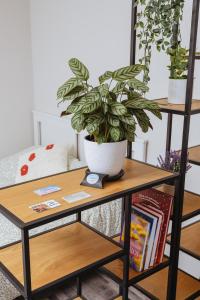 une table avec une plante en pot en haut dans l'établissement Apartamenti Katrīna, à Brocēni