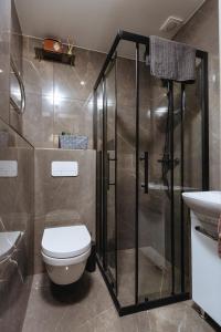 La salle de bains est pourvue d'une douche, de toilettes et d'un lavabo. dans l'établissement Apartamenti Katrīna, à Brocēni