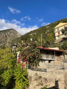 uma casa numa colina com uma árvore com flores em Mountain Hotels "Balasi's House" em Planitéron