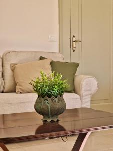 un vaso su un tavolino di fronte a un divano di Casa Matteo-Gran Sasso a L'Aquila