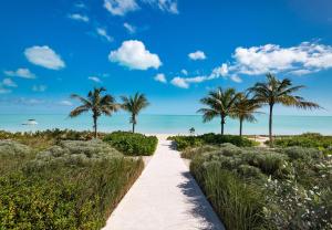 a path to the beach with palm trees at Clevelander in Long Bay Hills