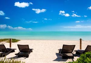 a group of chairs sitting on a beach at Clevelander in Long Bay Hills